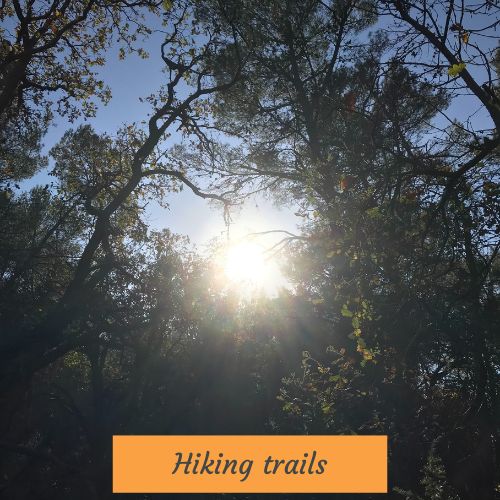 Hiking trails